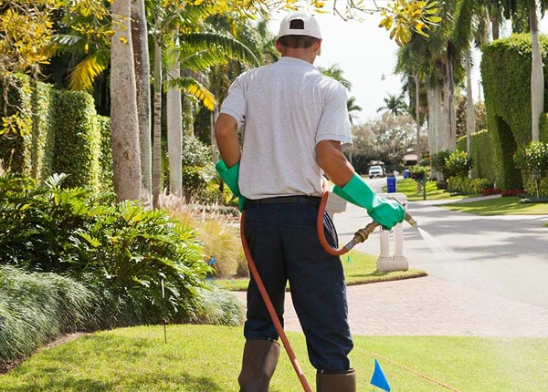 About Merion Station PA Pest Control Pros